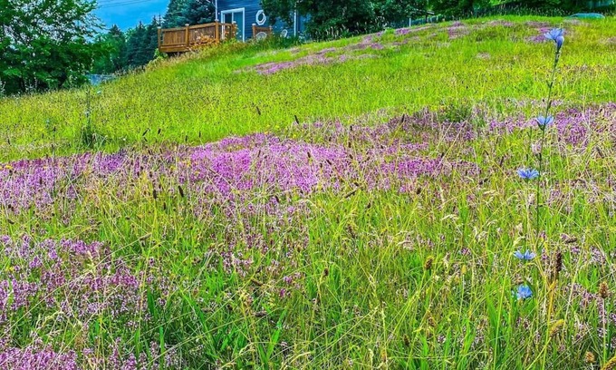 Ticonderoga House | Cozy Adirondack Loft Near Lake Champlain & George, Hiking and Historical Sites
