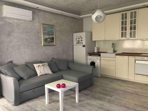 Sofia Apartment | Cozy and modern apartment Krasno selo, free parking