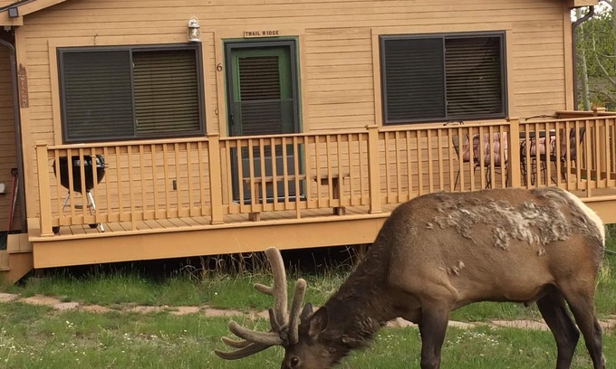 Estes Park Cabin | Cozy cabin by the Big Thompson river - Close to Downtown and RMNP