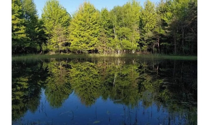 Wheeler Cabin | Cozy Cabin Retreat Pond & Trails – Nature Awaits!