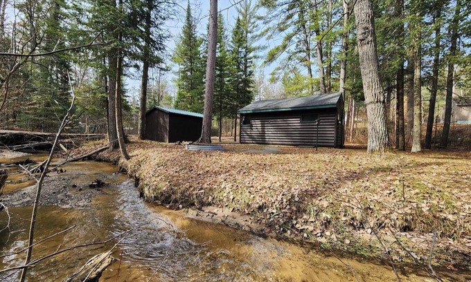 Mio Cabin | Cozy cabin with backyard stream close to Au Sable River and the best ATV trails