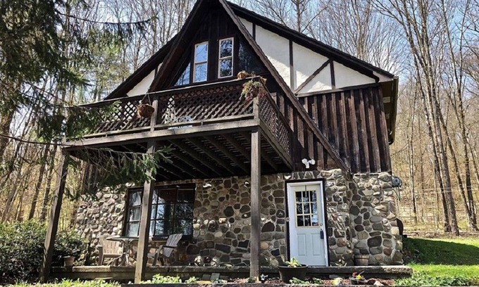 Port Crane Cabin | Cozy/Chic Cabin (ISOLATED RETREAT!) Binghamton NY