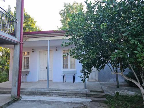 Zugdidi Apartment | Cozy cottage