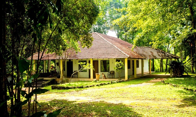 Hiyarapitiya Cottage | Cozy Country Cottage on Hills (Near Kandy)