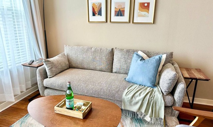 Texas Medical Center Apartment | Cozy Mid-Century Modern FREE parking | MDAnderson
