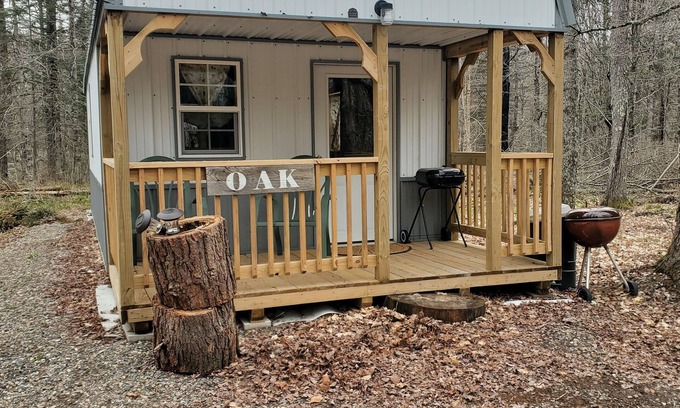 Goodman Cabin | Cozy Northwoods Mini Cabin.*SAUNA/HOT TUB*ATV/SNOWMOBILE TRAILS*