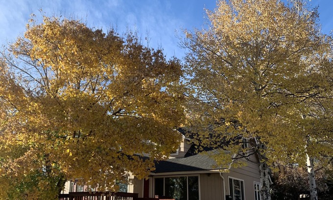 Altamont House | Cozy, peaceful getaway - less than 5 min from downtown Klamath