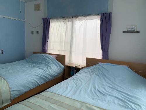 Bibai House | Cozy Penguin House Bibai