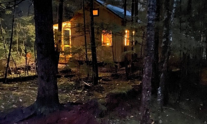 Mount Currie Cabin | Cozy private 1 Bedroom & Loft cabin in the forest. Rustic with Modern features.