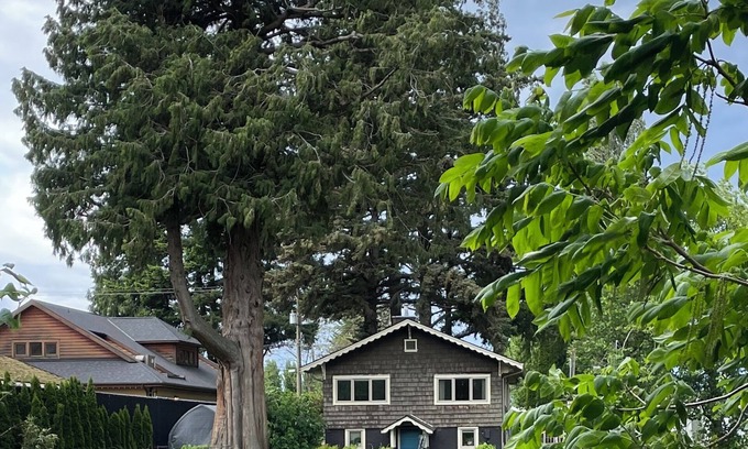 Harrison Hot Springs Cottage | Cozy Riverside Cottage with Private Hot Tub