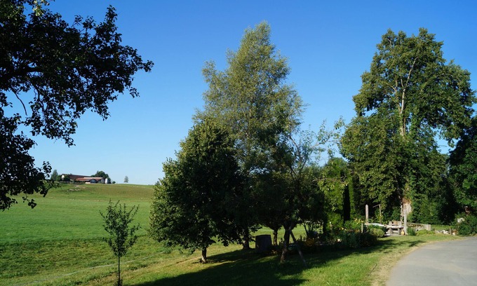 Christazhofen Apartment | Cozy vacation apartment on the farm - vacation for the whole family