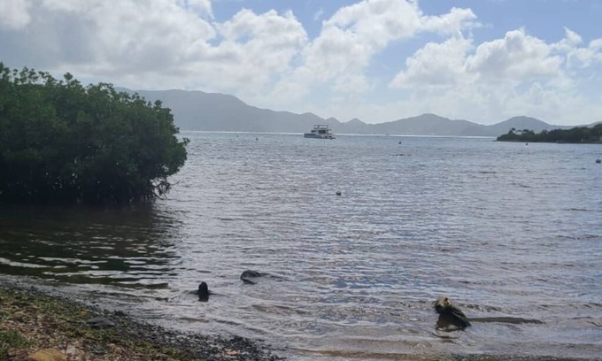 Jost Van Dyke House | Cozy Waterfront Cottage Sleeps 6