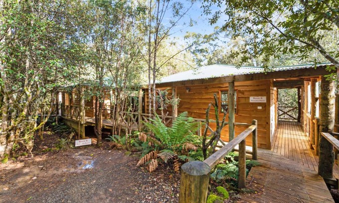 Moina Hotel | Cradle forest inn