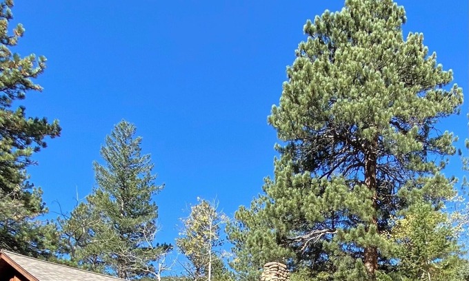 Lyons Cabin | Creekside cabin