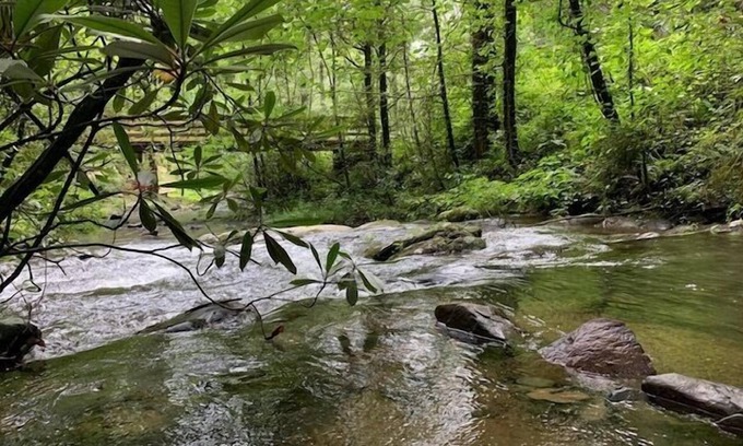 Ellijay House | Creekside Storie. Waterfalls, Hiking, Biking, Creekside Storie. Hot Tub, Cohutta Forest, Hiking, Bik