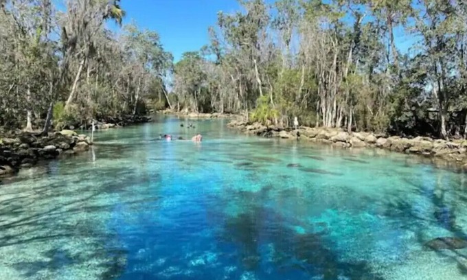 Crystal River Cottage | Crystal Cottage-walk to Manatees