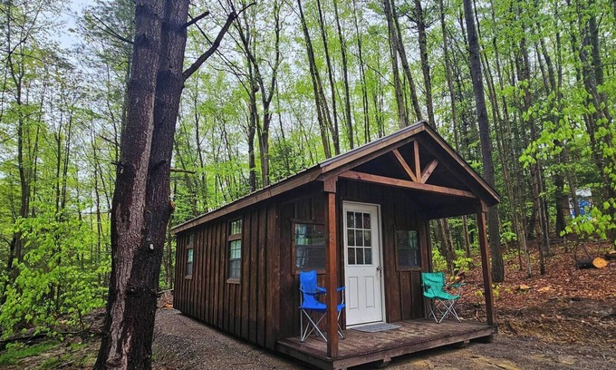 Dryden Cabin | Cub Cabin: Charming cabin with WiFi in Freeville - perfect for a cozy getaway