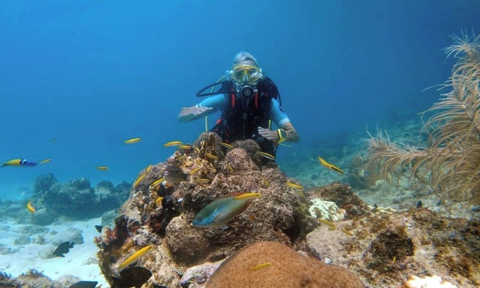 Barber House | Curacao NEW Dive Resort 2025 (with many Dive and Snorkeling Hotspots)
