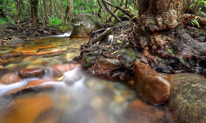 Diwan Cottage | Daintree Cascades The Cottage