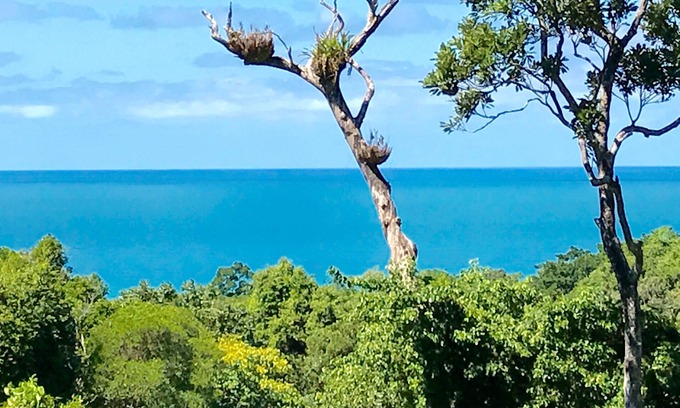 Cow Bay House | Daintree Magic Vacation Home