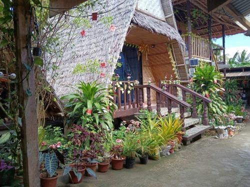 Maria Bed & Breakfast | Daisy Food House and Inn