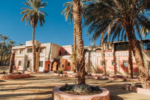 Degache House | Dar ebba tozeur