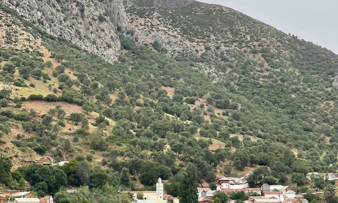 Ourtzagh Bed & Breakfast | DAR LALA ZHOUR