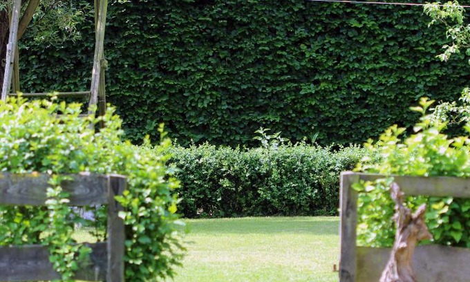 Waarschoot House | De Cameleon