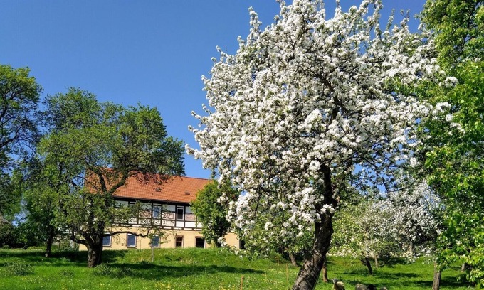 Waschleithe Apartment | Vrbo Property