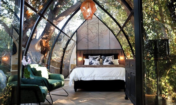 Montagu Apartment | De Nest - Clear glass Tree cabin in Montagu