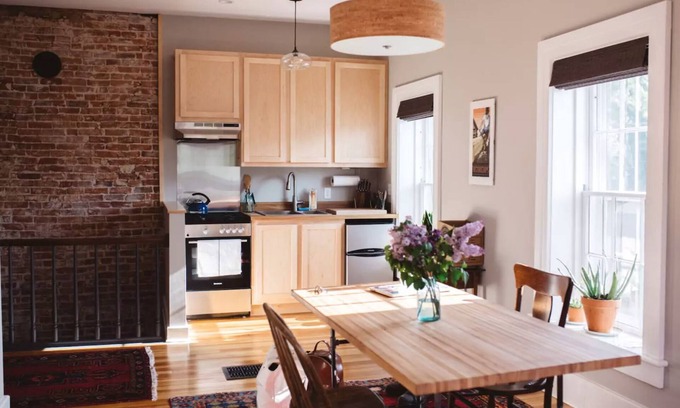 Decorah Apartment | Decorah House- Airy, modern, full of natural light, 5 blocks to downtown