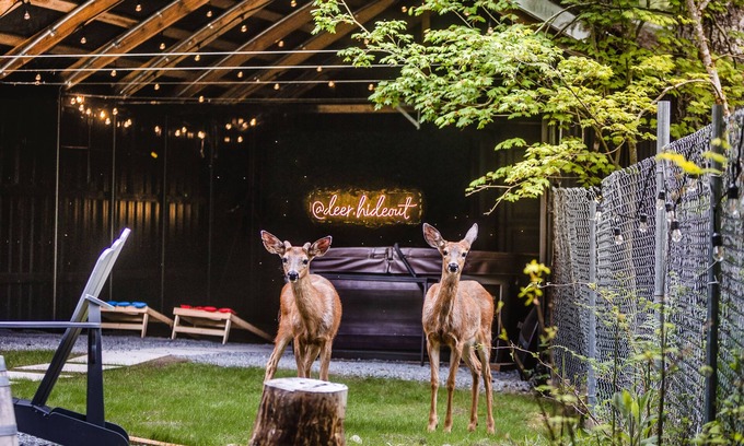 Paradise Estates Cabin | Deer Hideout - King bed/HS WiFi/Hot Tub/Fire Pit