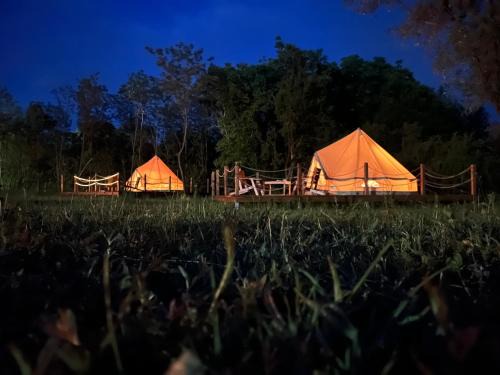 Scortoasa Other | Deleni Retreat - Glamping