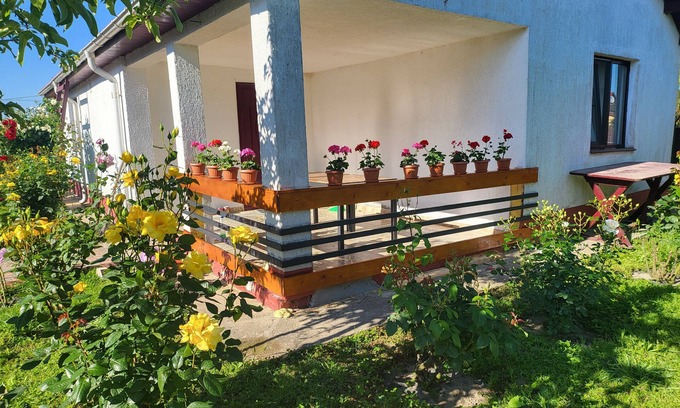 Crisan House | Delta crisan flamingo