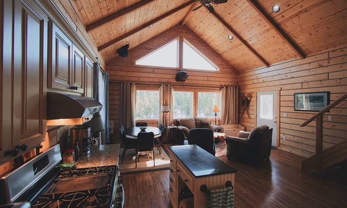 Healy Cabin | Denali Bear Cabin w/Hot Tub, Entire Cabin, Private, 3 beds