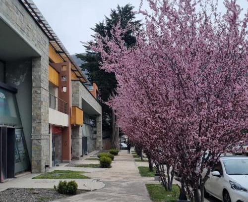 San Martin de los Andes Apartment | Depto del Arroyo