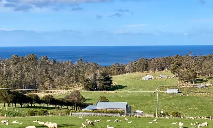 Bream Creek Other | Derford Farm Stay - The Barn