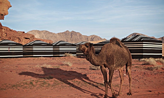 Wadi Rum RV Rental | Desert Melody - Campsite