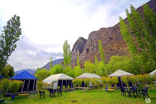 Hundur Other | Desert Oasis Camp