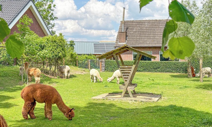 Vorstenbosch House | Detached house on an alpaca farm