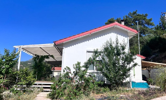 Olympos House | Detached house surrounded by fruit trees, very close to Olympos and Çıralı