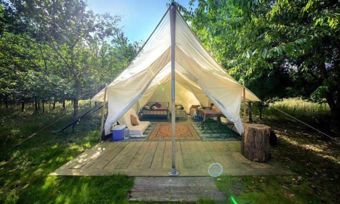 Blackford Other | DGG Woodland Escape