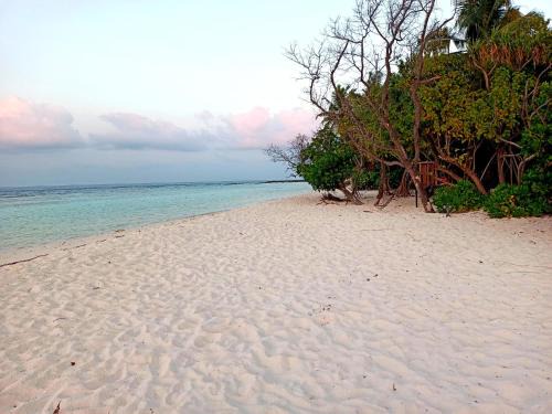 Omadhoo House | Dhoadhi Beach Maldives