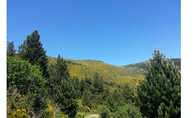 Puigcerda Bed & Breakfast | Di Verena - Two people (single beds) and private bathroom nr 28