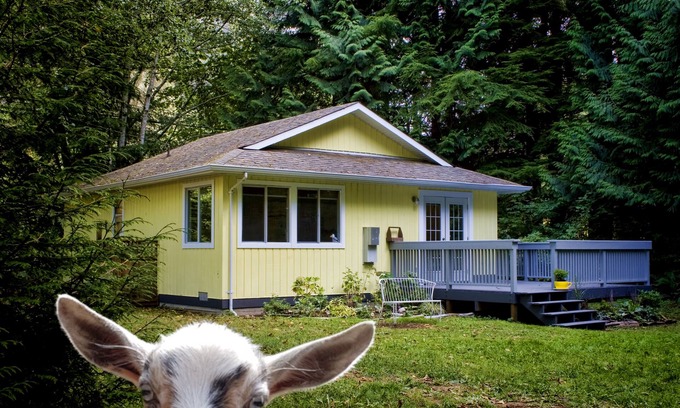 Juan de Fuca Electoral Area Cottage | Diamond Cottage, close to Sooke, Shirley and Port Renfrew. 40 mins to Victoria