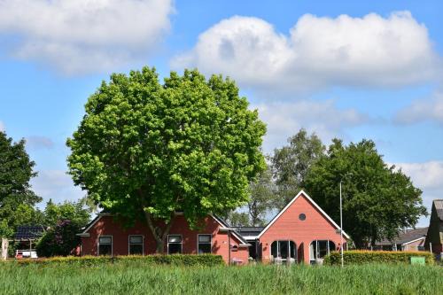 Doezum Bed & Breakfast | Doezumertocht