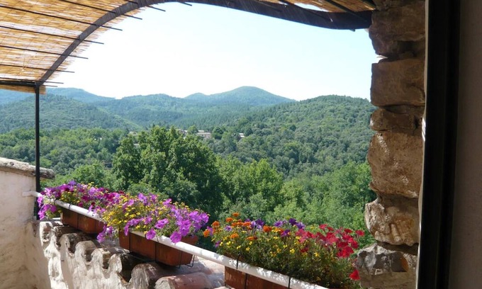 Molieres-sur-Ceze Apartment | Domaine du Figuier in a former winery, nature park, family-friendly - Apartment 1