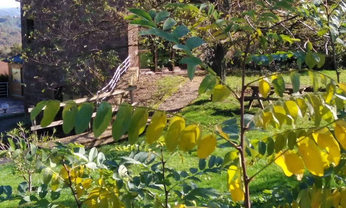 Saint-Cyprien-sur-Dourdou Bed & Breakfast | Domaine du Mas Naut
