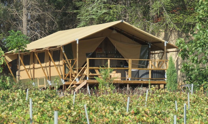 Laure-Minervois Cabin | Domaine du Siestou Wine Resort Lodges