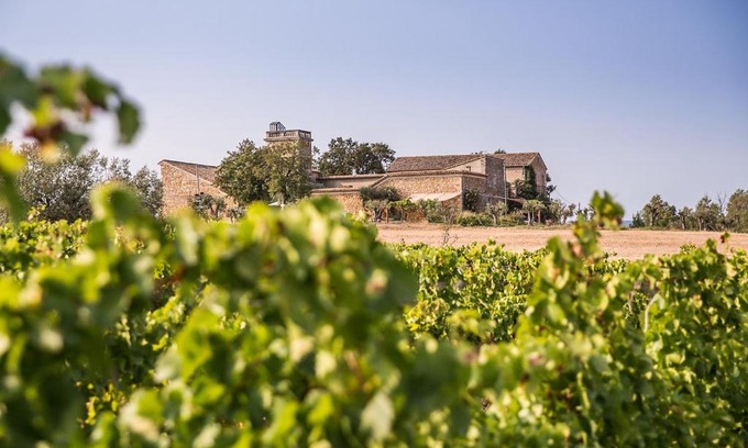 Puimisson Bed & Breakfast | Domaine Sainte Suzanne